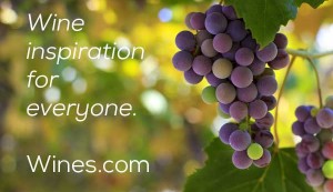 Welcome to the new Wines.com