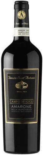 Tenuta Sant'antonio Amarone Della Valpolicella Campo Dei Gigli 2015 750ml