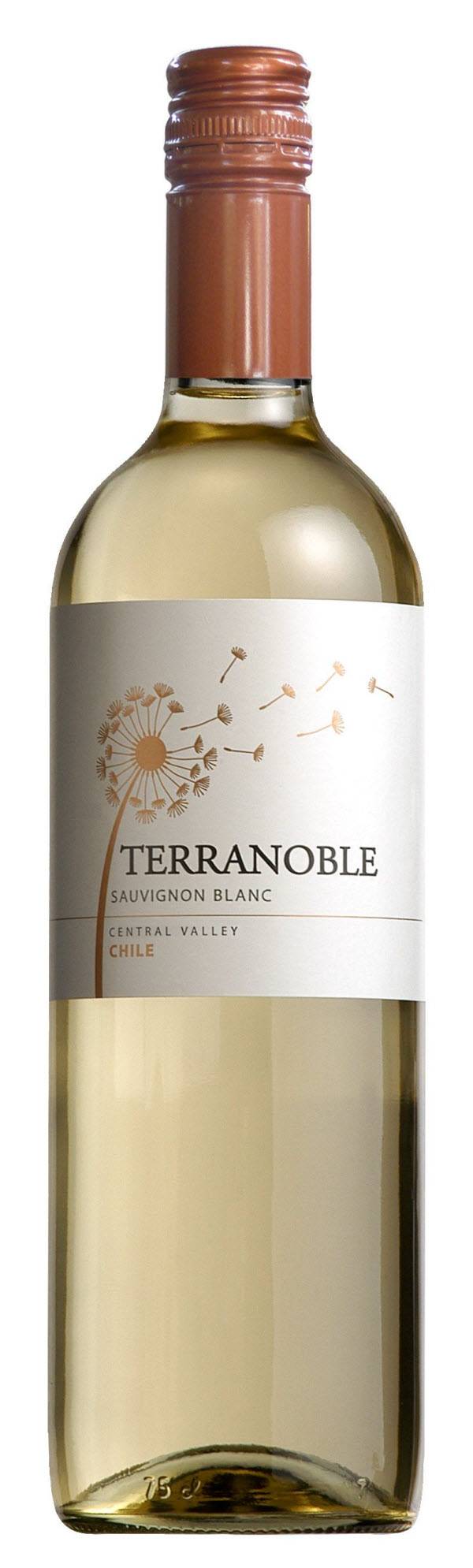 Terranoble Sauvignon Blanc 2019 750ml