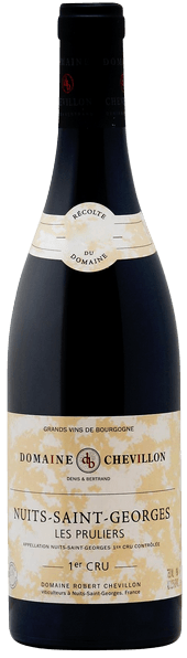 Domaine Robert Chevillon Nuits St. Georges Les Pruliers 2017 750ml