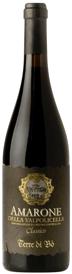 Terre Di Bo Amarone 2017 750ml