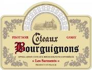 Les Sarments Coteaux Bourguignons 2018 750ml