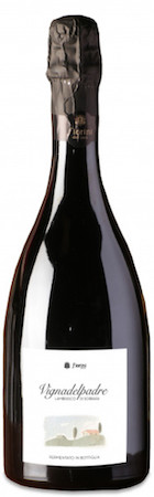 Fiorini Lambrusco Di Sorbara Vigna del Padre 2019 750ml