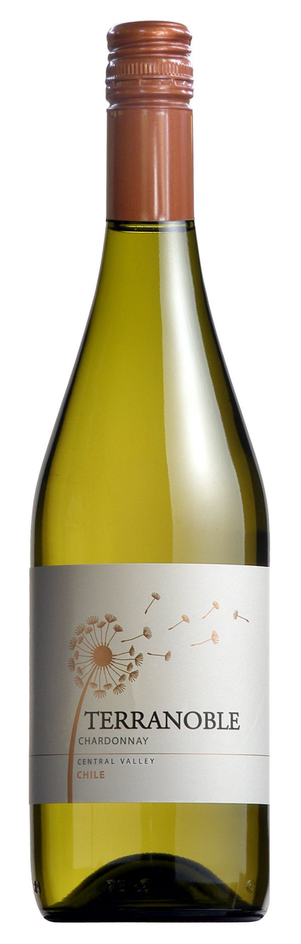 Terranoble Chardonnay 2019 750ml