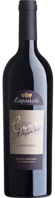 Casa Lapostolle Carmenere Cuvee Alexandre Apalta Vineyard 2019 750ml