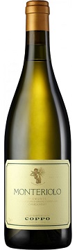 Coppo Langhe Chardonnay Costebianche 2018 750ml