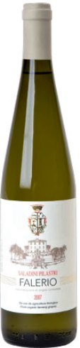 Saladini Pilastri Falerio Dei Colli Ascolani Bianco 2019 750ml