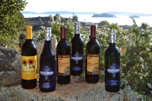 Sulfite Free Wine - Wines.com