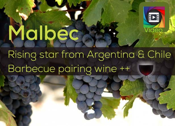 Malbec