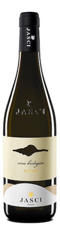 Jasci Pecorino Terre De Chieti 2019 750ml