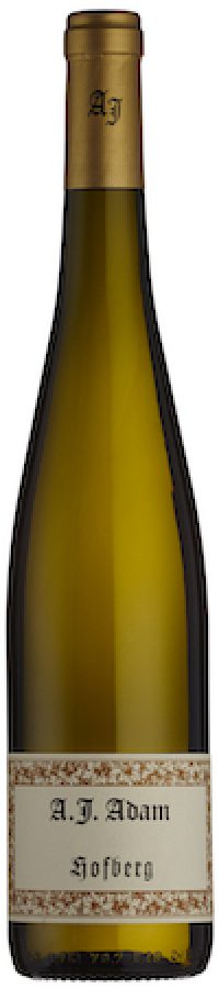 A.J. Adam Hofberg Riesling Trocken 2018 1.5Ltr